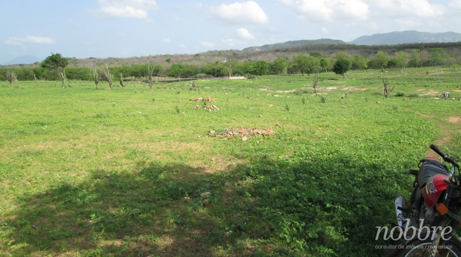 Fazenda para vender no Maranhão - Carolina